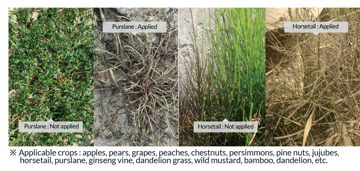 PLANT BIOACTIVE REGULATOR Careful(Non-selective) HanaBiotech / Careful  非选择性生物活性调节剂