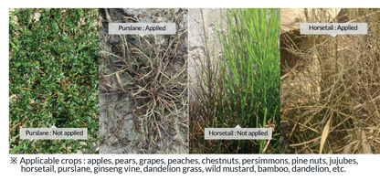 PLANT BIOACTIVE REGULATOR Careful(Non-selective) HanaBiotech / Careful  非选择性生物活性调节剂